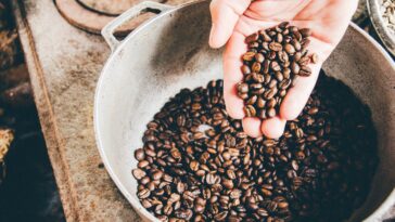 A hand holding roasted coffee beans