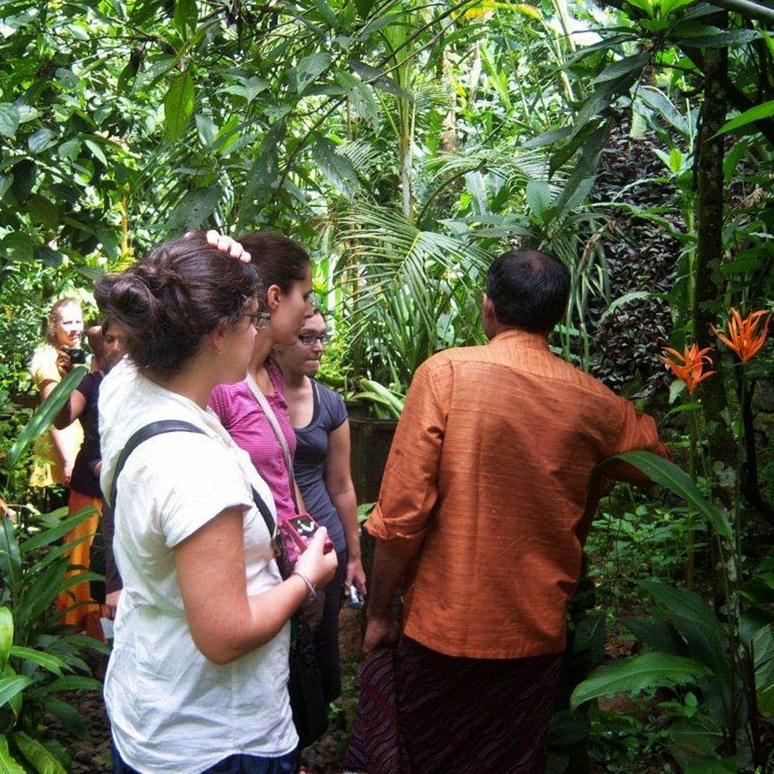 The plantation tour across five acres of local vegetation and fruits like Pepper, Coffee, Ginger, Turmerc and Nutmeg.