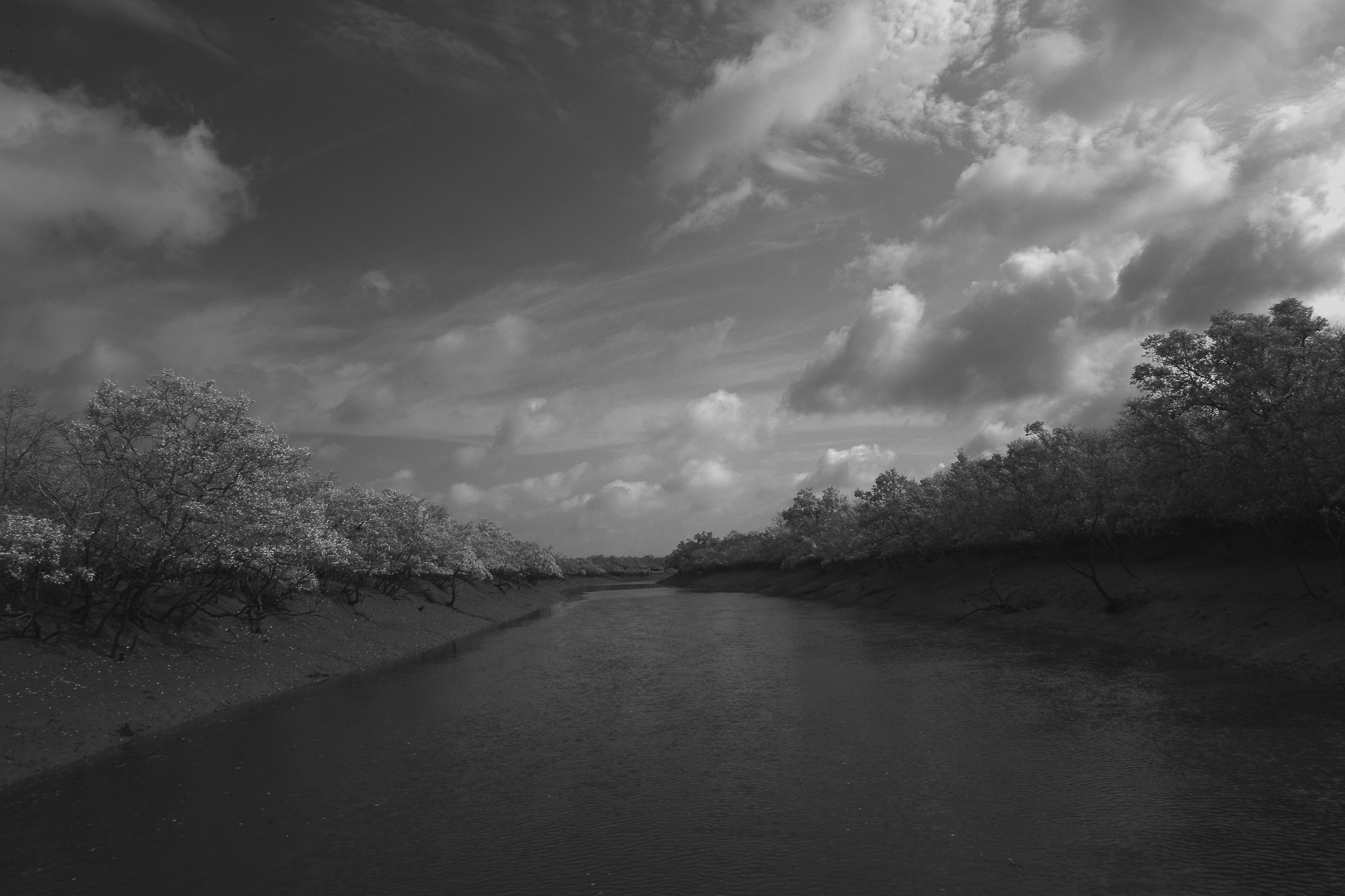 Sunderbans in B&W. Photo by Sabyasachi