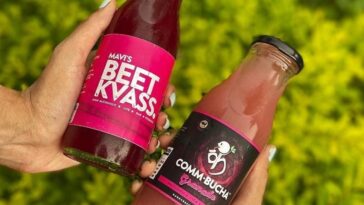 Mavi's Pantry - Beet Kvass and CommBucha
